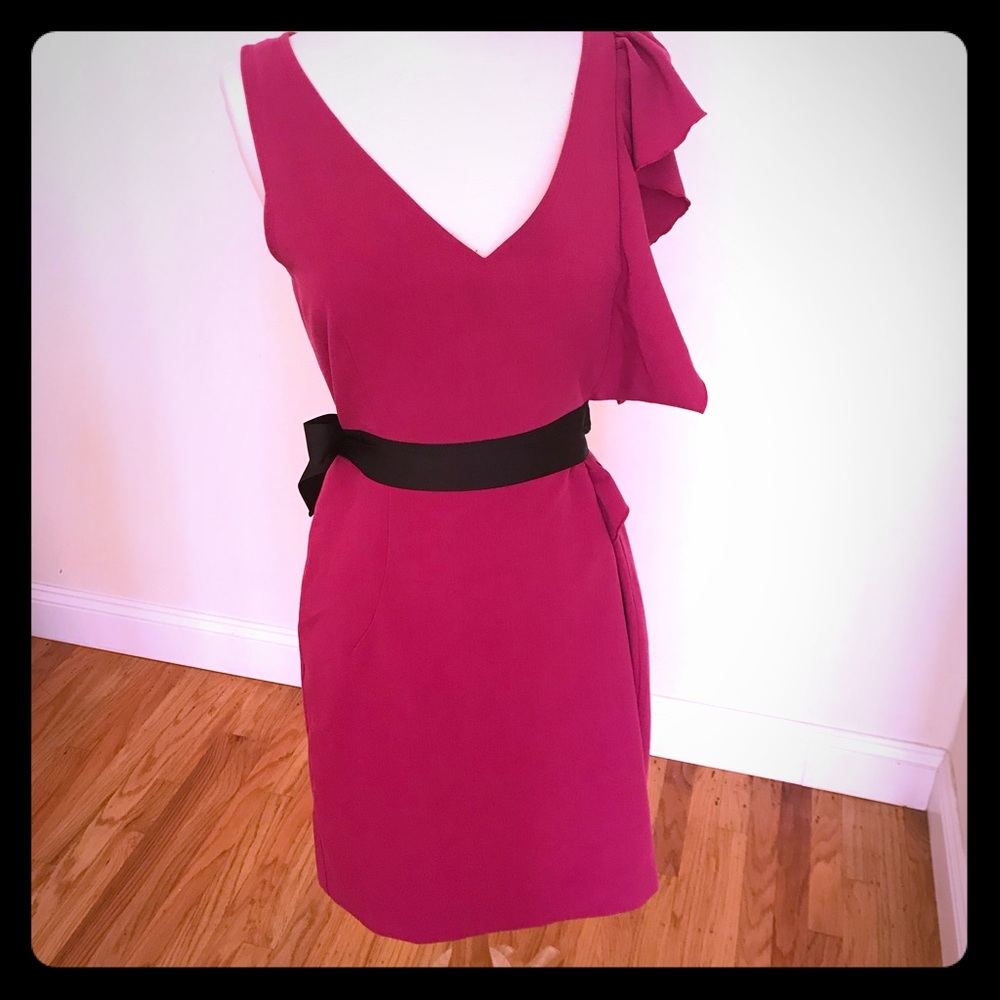 Raspberry Party Dress